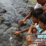turtle-island