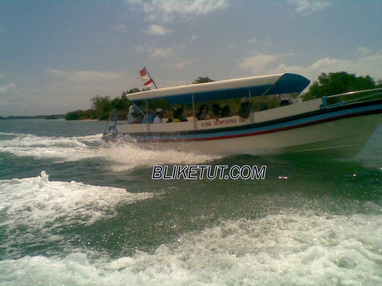 Wisata Pulau Penyu Bali (Glass Bottom Boat + Turtle Island)